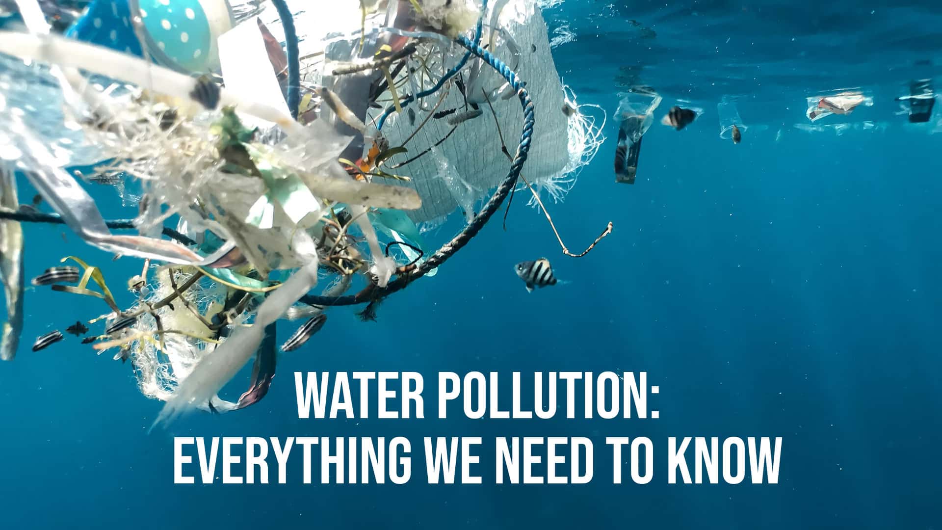 Read more about the article Water Pollution: Everything We Need to Know