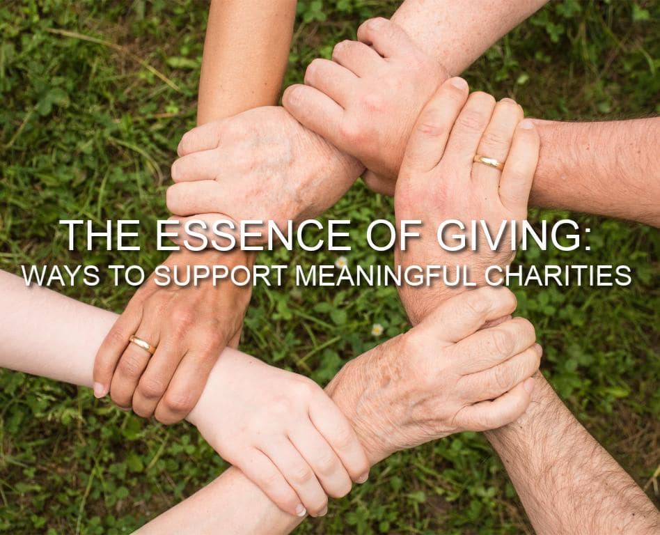 Read more about the article The Essence of Giving: Ways to Support Meaningful Charities